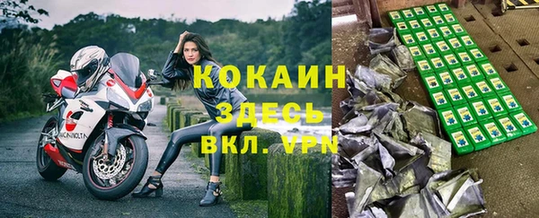 МДПВ Алзамай
