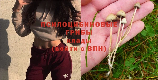 соль ск Нягань