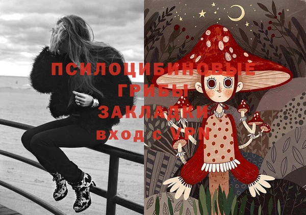 мет Алексин